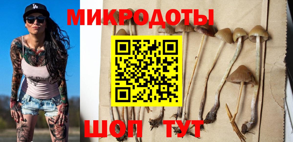 магазин продажи наркотиков  Вход с VPN  Галлюциногенные грибы мицелий  Североморск  Псилоцибиновые грибы прущие грибы 